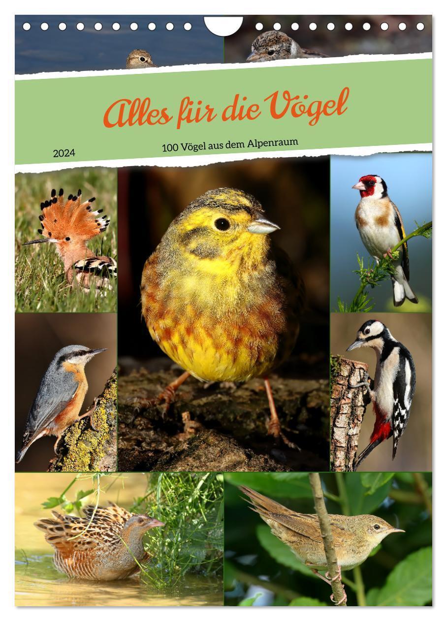 Cover: 9783383711053 | Alles für die Vögel (Wandkalender 2024 DIN A4 hoch), CALVENDO...