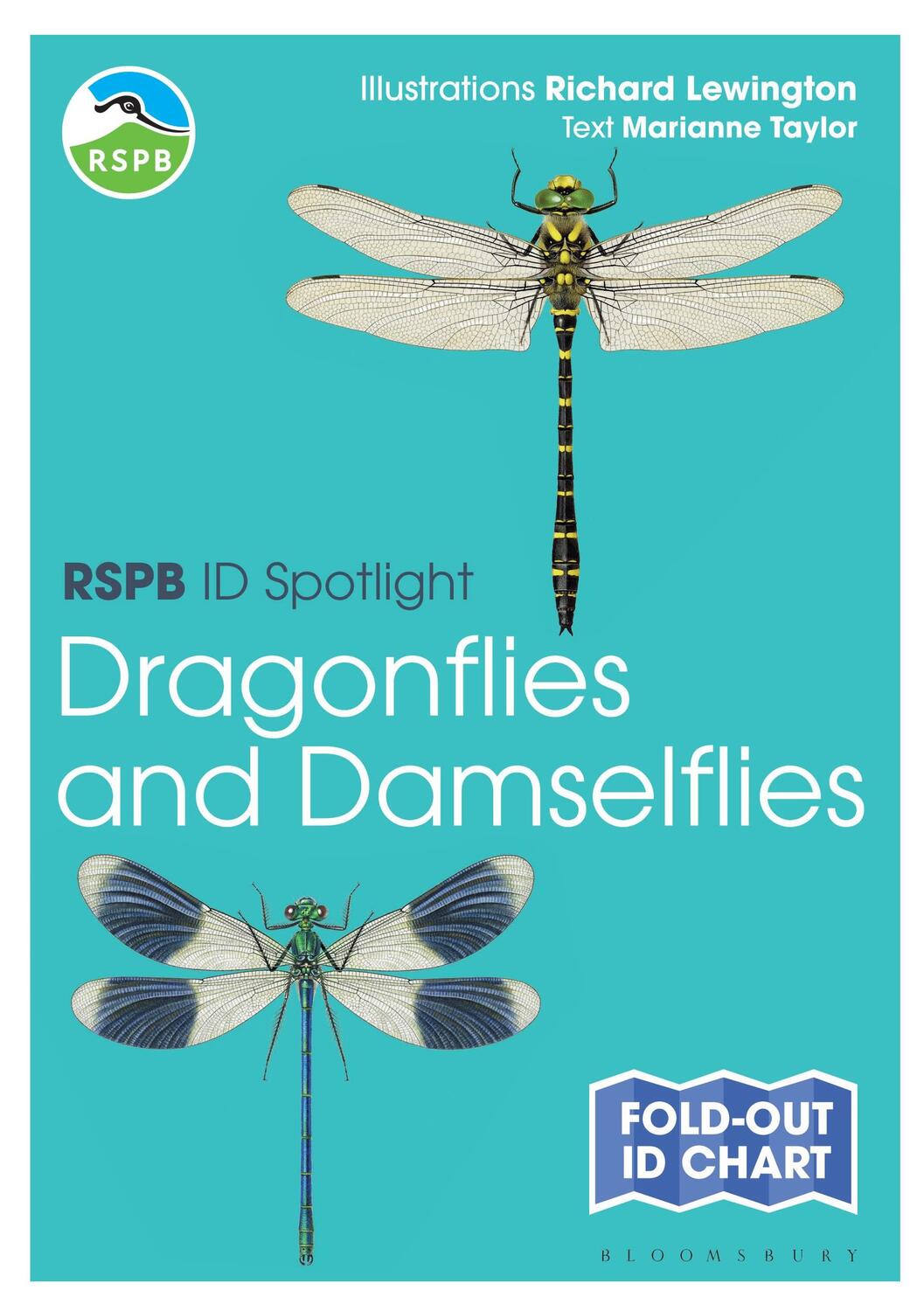 Cover: 9781472974280 | RSPB ID Spotlight - Dragonflies and Damselflies | Marianne Taylor