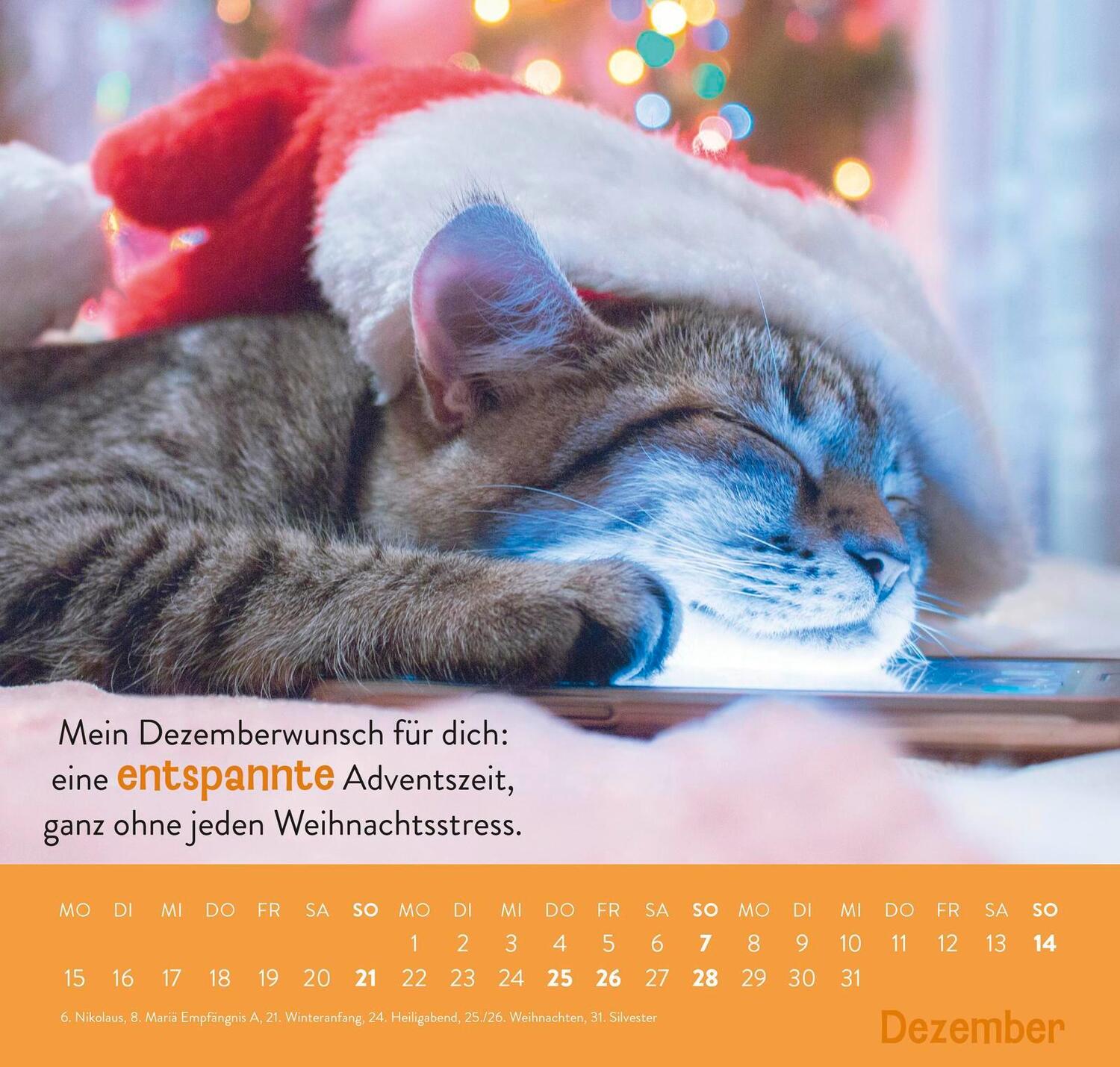 Bild: 4036442011898 | Wandkalender 2025: Einfach mal abhängen | Groh Verlag | Kalender