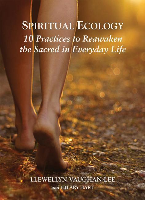 Cover: 9781941394182 | Spiritual Ecology: 10 Practices to Reawaken the Sacred in Everyday...