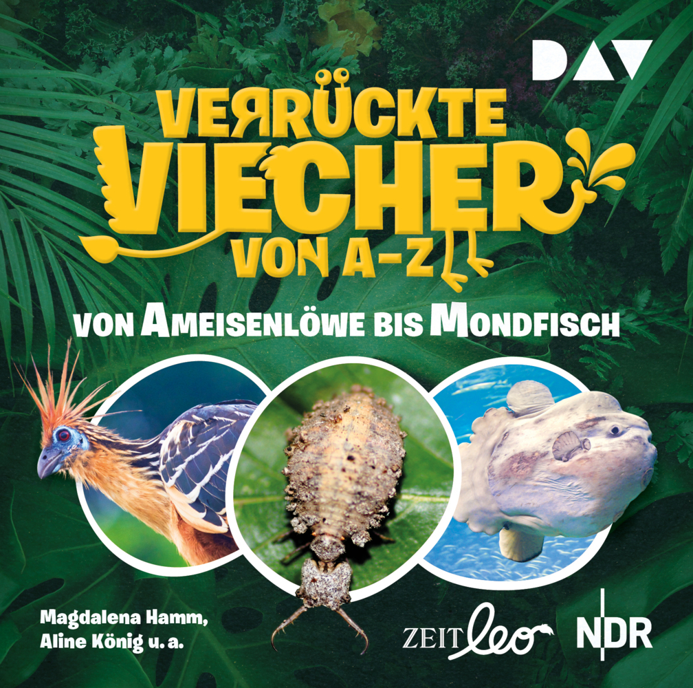 Cover: 9783742411457 | Verrückte Viecher von A bis Z - Von Ameisenlöwe bis Mondfisch, 1...