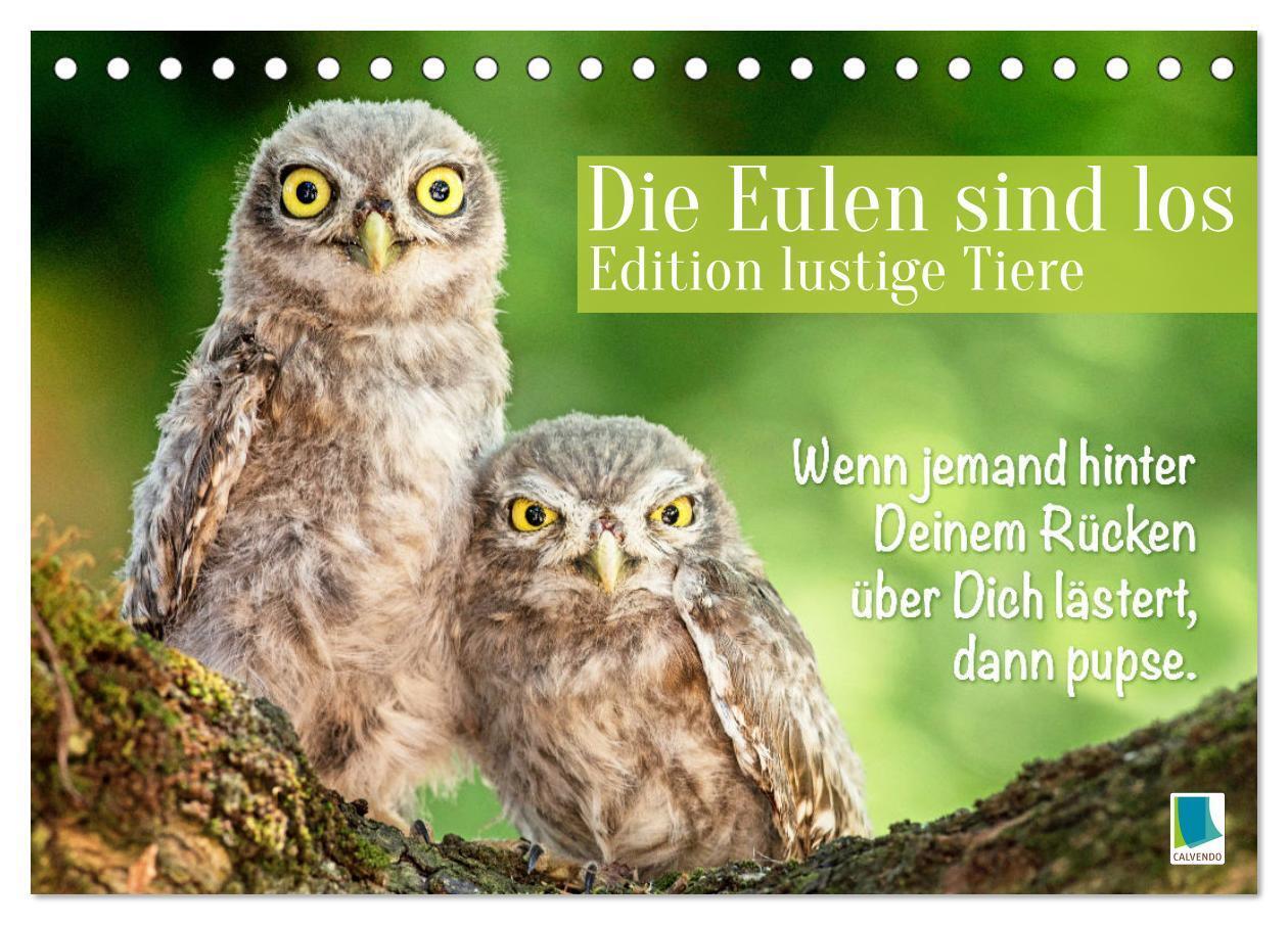 Cover: 9783383687846 | Die Eulen sind los: Edition lustige Tiere (Tischkalender 2024 DIN...