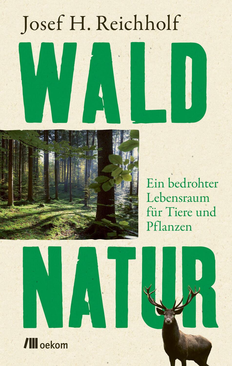 Cover: 9783962383497 | Waldnatur | Ein bedrohter Lebensraum für Tiere und Pflanzen | Buch