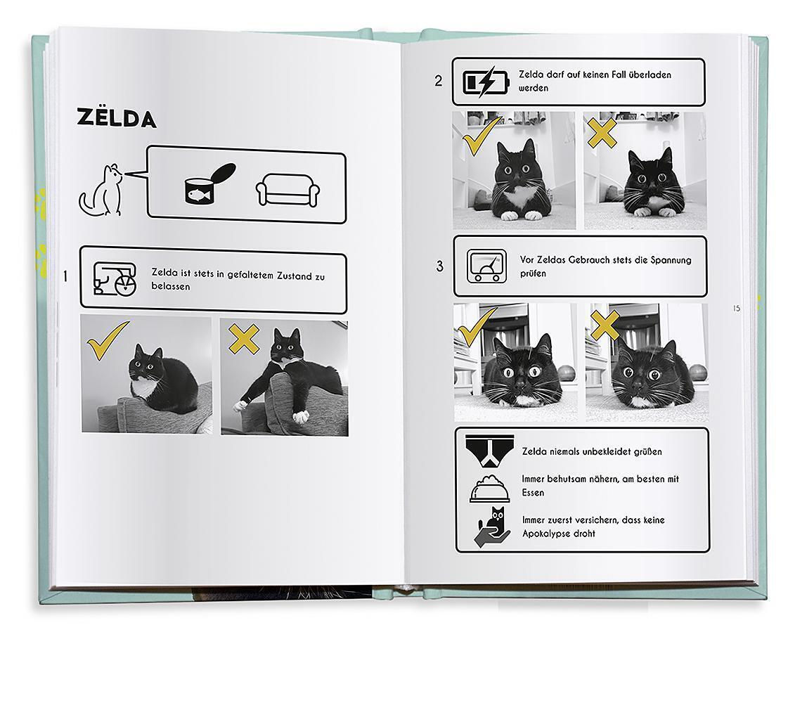 Bild: 9783426214831 | Die fabelhafte Welt der Zelda | Abenteuer einer neugierigen Katze
