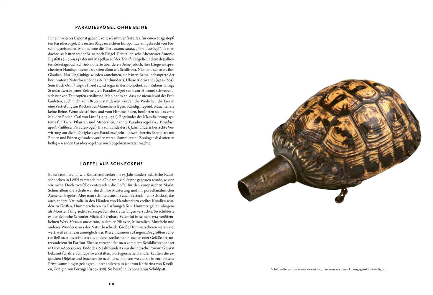 Bild: 9783791384924 | Wunderkammer | Eine Reise zu exotischen Kuriositäten-Sammlungen | Buch