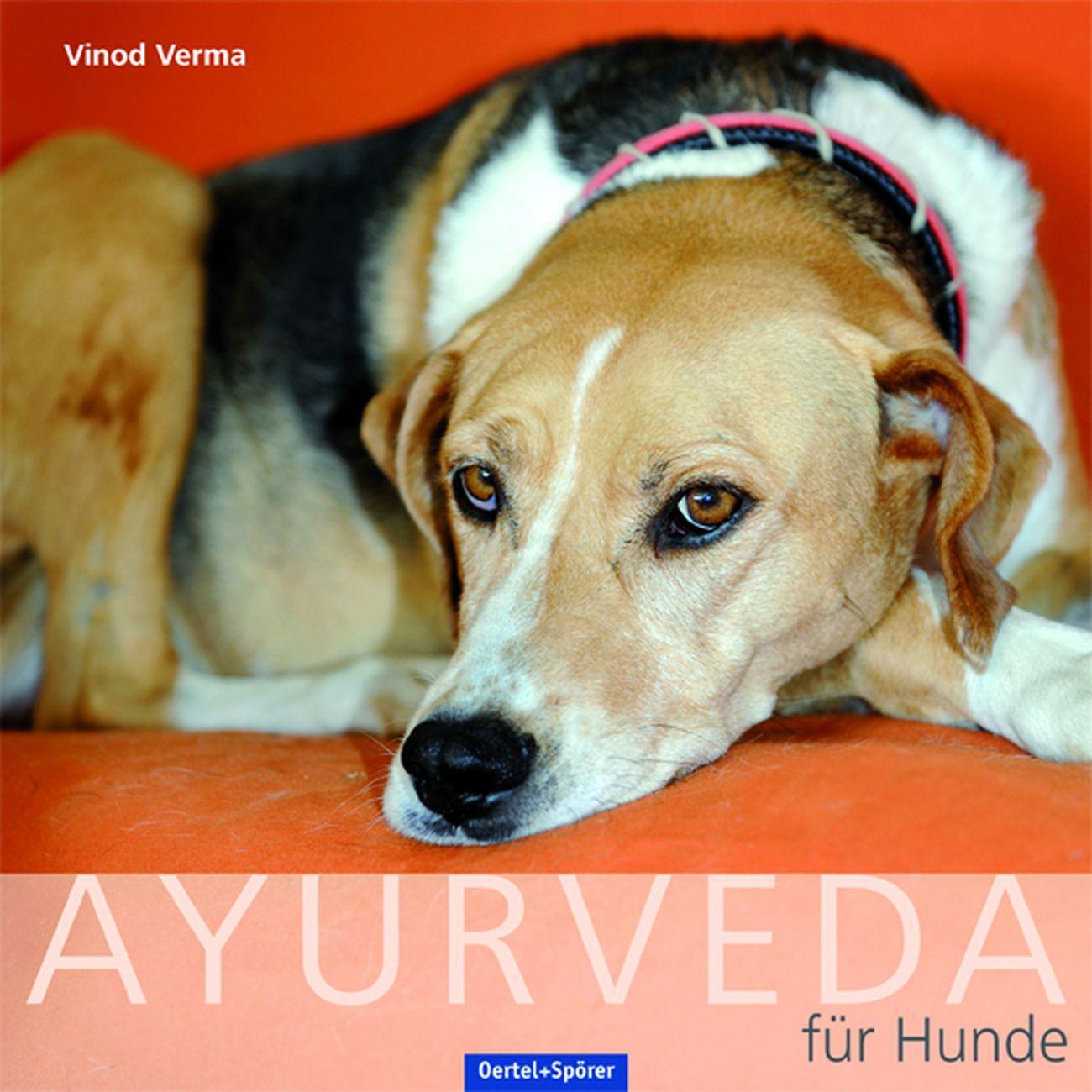 Cover: 9783886278466 | Ayurveda für Hunde | Vinod Verma | Taschenbuch | Deutsch | 2012