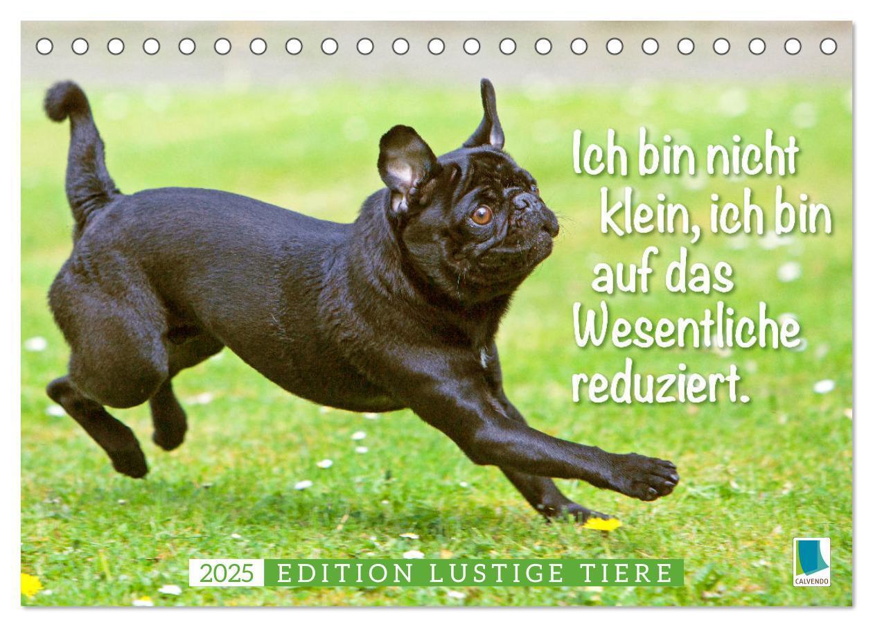 Cover: 9783435070787 | Der Mops: Nicht klein, sondern aufs Wesentliche reduziert. Edition...