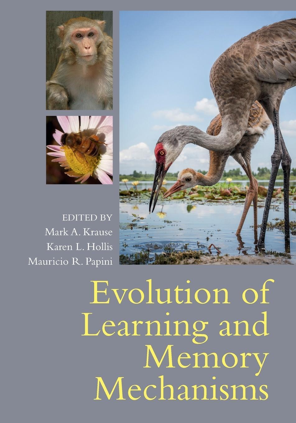 Cover: 9781108738316 | Evolution of Learning and Memory Mechanisms | Mauricio R. Papini