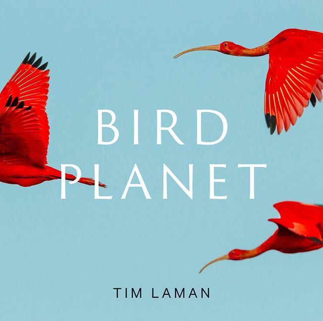 Cover: 9781419761492 | Bird Planet | A Photographic Journey | Tim Laman | Buch | Englisch
