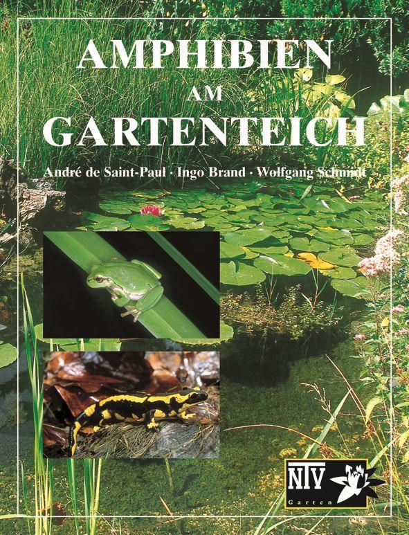 Cover: 9783931587093 | Amphibien am Gartenteich | Andre de Saint-Paul (u. a.) | Buch | 2001
