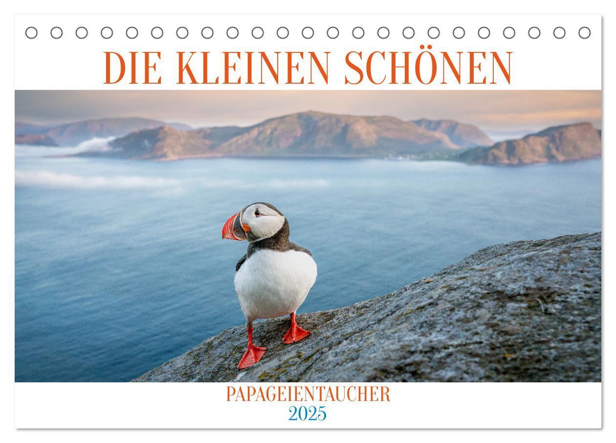 Cover: 9783383874666 | Die kleinen schönen (Tischkalender 2025 DIN A5 quer), CALVENDO...