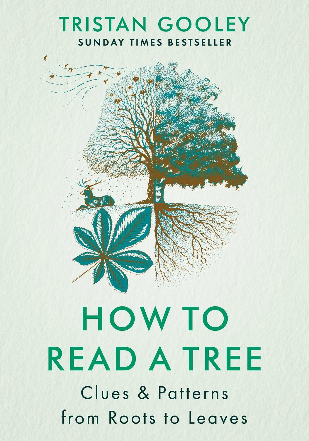 Cover: 9781529339598 | How to Read a Tree | Clues &amp; Patterns from Roots to Leaves | Gooley