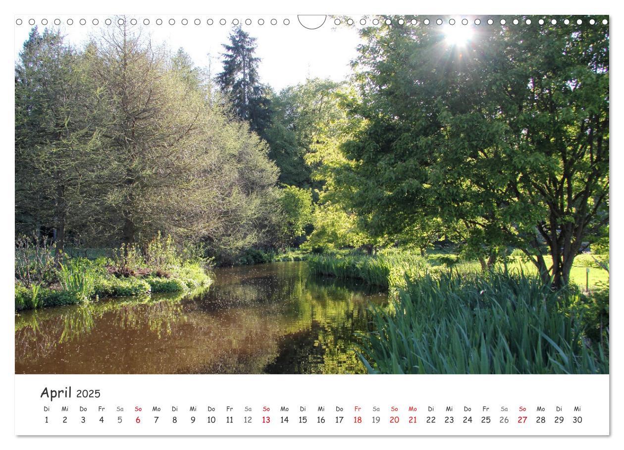 Bild: 9783435078431 | Zauberhaftes Ammerland (Wandkalender 2025 DIN A3 quer), CALVENDO...