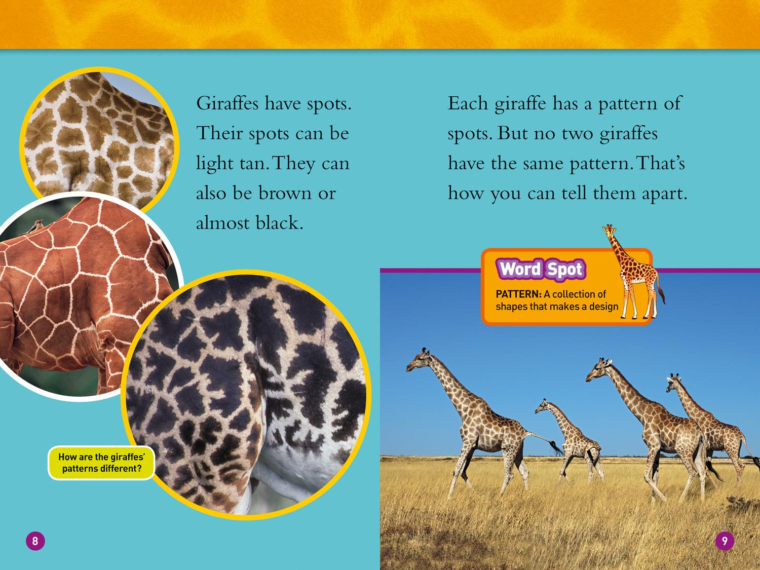 Bild: 9780008266639 | Giraffes | Level 2 | Laura Marsh (u. a.) | Taschenbuch | Englisch