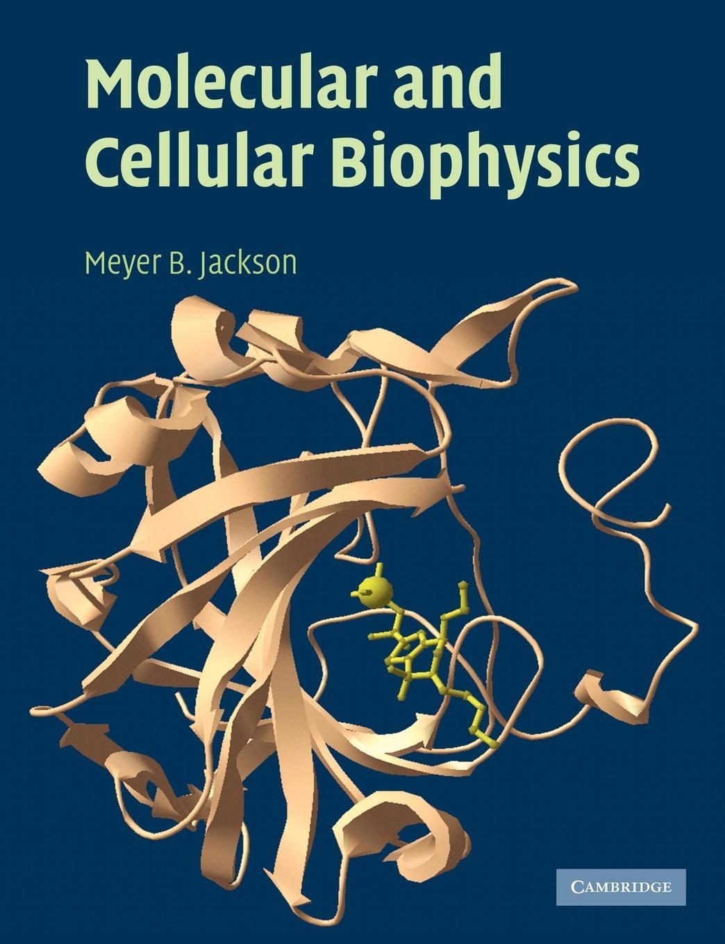 Cover: 9780521624701 | Molecular and Cellular Biophysics | Meyer B. Jackson | Taschenbuch