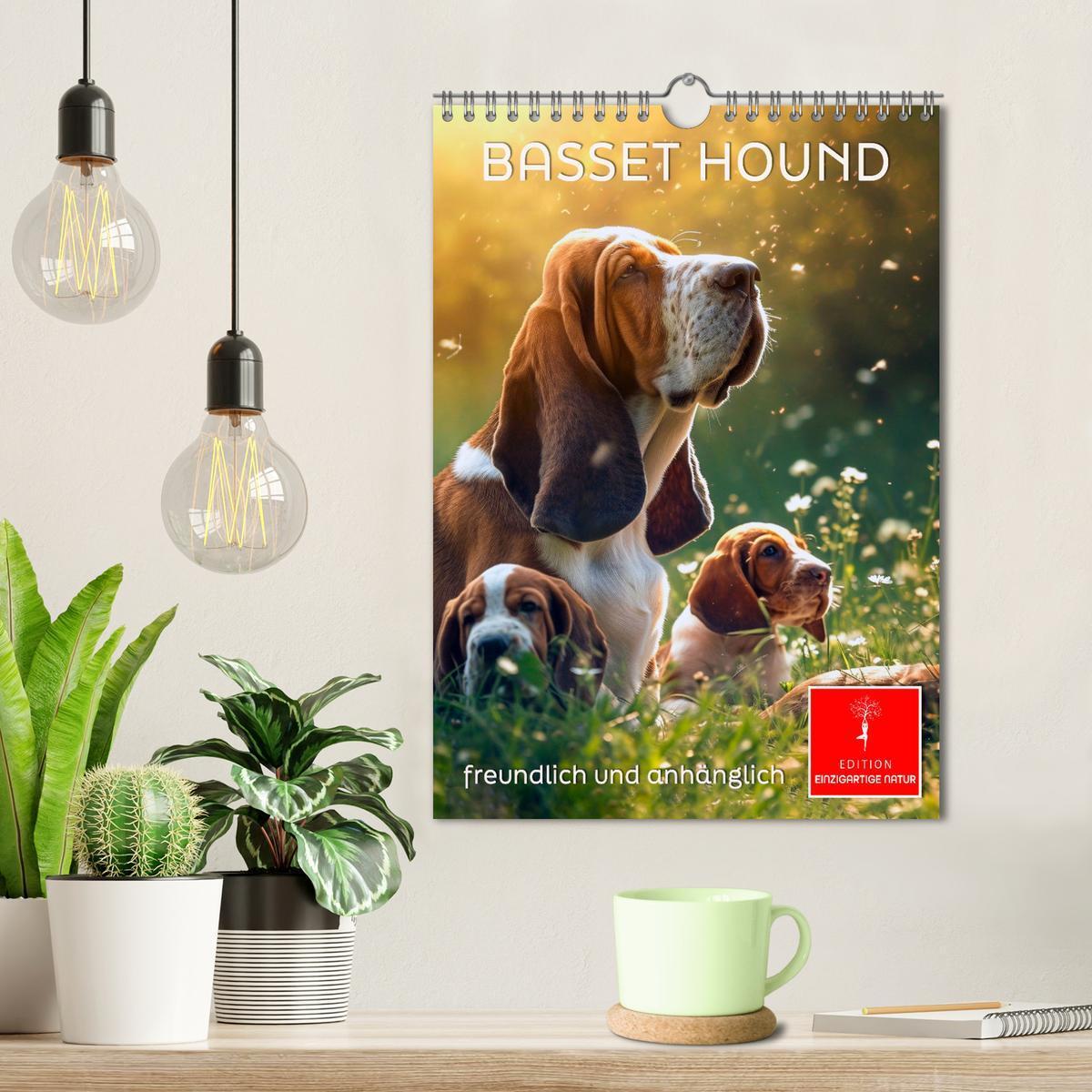 Bild: 9783383779855 | Basset Hound - freundlich und anhänglich (Wandkalender 2025 DIN A4...