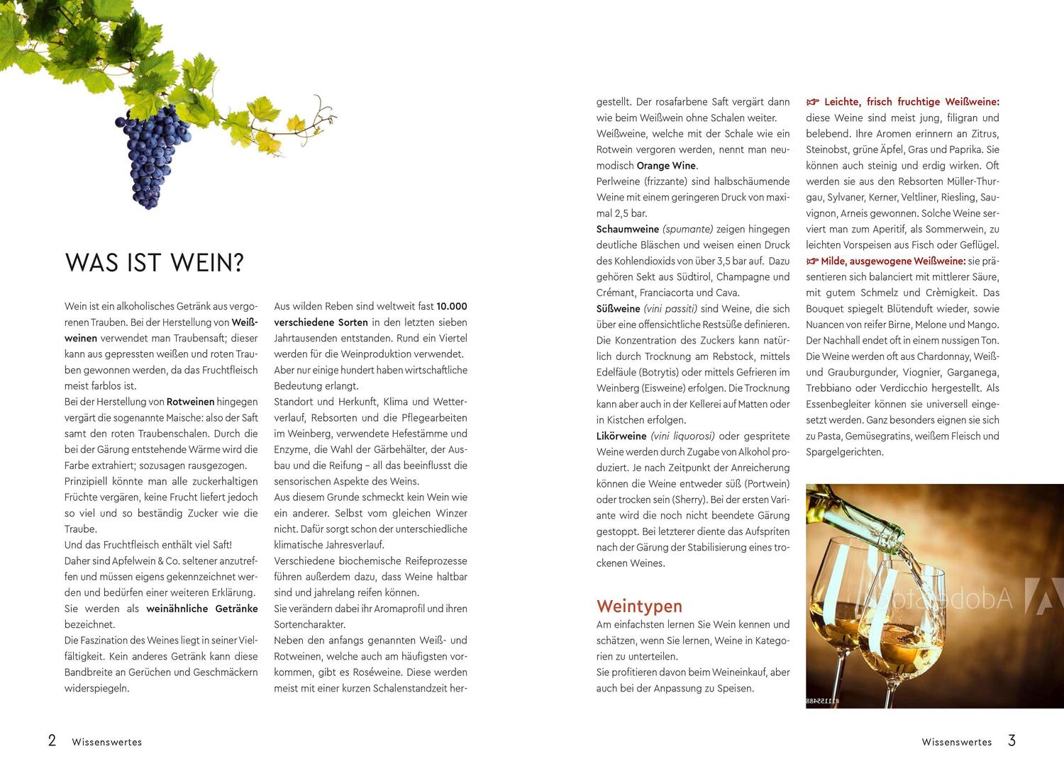 Bild: 9788868394981 | Das "So kocht Südtirol"-Getränkebuch | Christine Mayr | Taschenbuch