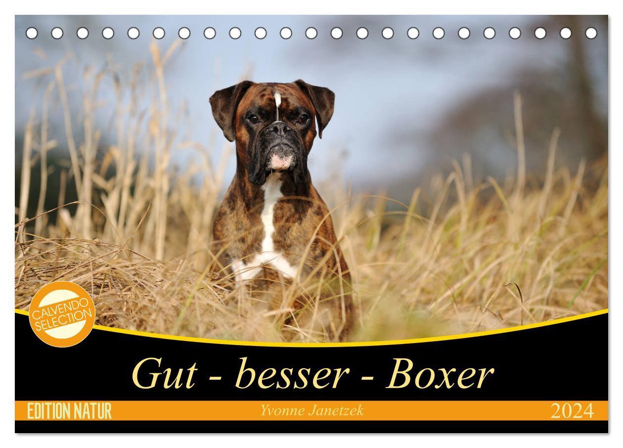 Cover: 9783675459892 | Gut - besser - Boxer (Tischkalender 2024 DIN A5 quer), CALVENDO...