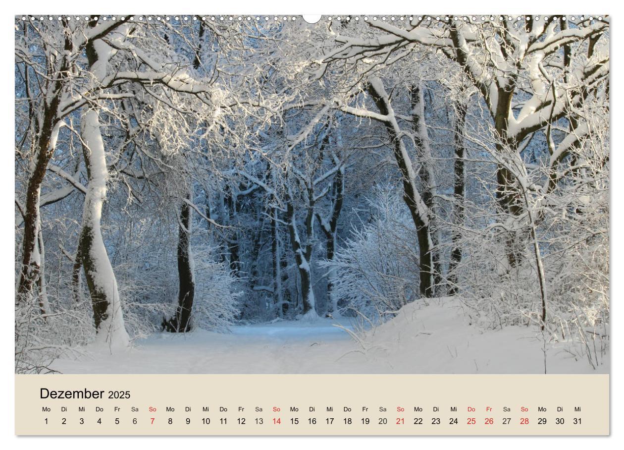 Bild: 9783435317714 | Der Wald. Durch zauberhafte Waldlandschaften (Wandkalender 2025 DIN...