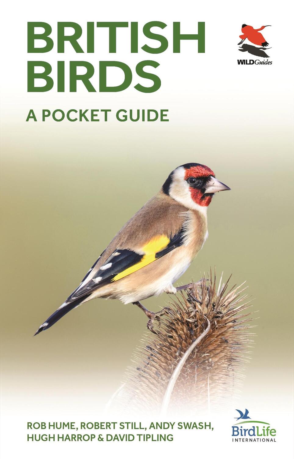 Cover: 9780691181677 | British Birds | A Pocket Guide | Andy Swash (u. a.) | Taschenbuch