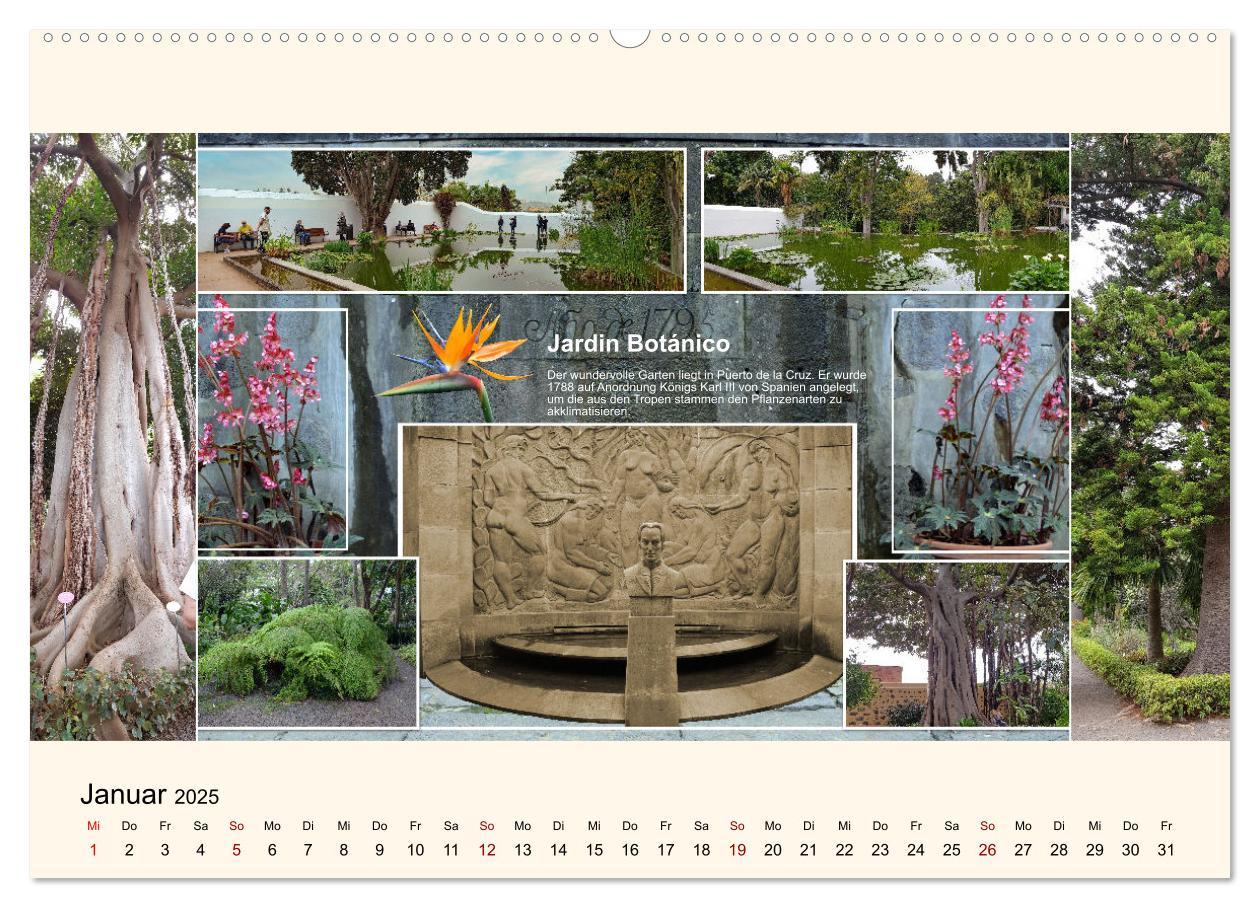 Bild: 9783435005550 | Zauberhaftes Teneriffa (Wandkalender 2025 DIN A2 quer), CALVENDO...