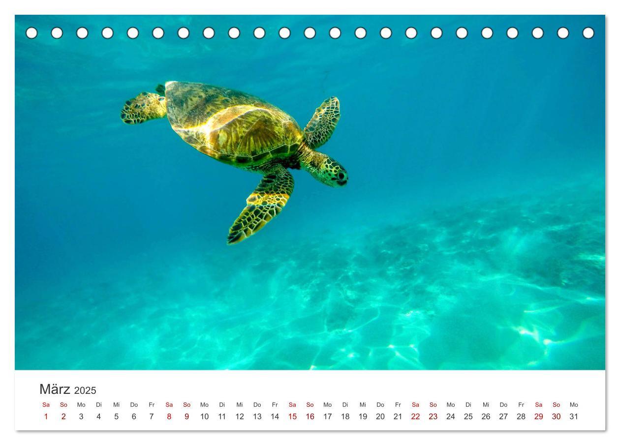 Bild: 9783383939365 | Hawaii - Ein tropisches Paradies. (Tischkalender 2025 DIN A5 quer),...