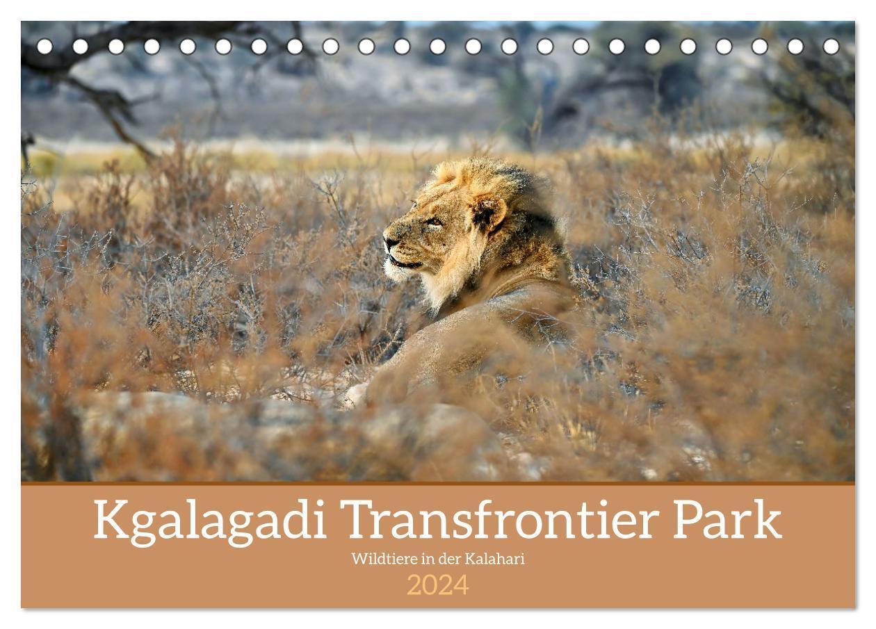 Cover: 9783383730740 | Kgalagadi - Fauna und Wildtiere in der Kalahari (Tischkalender 2024...