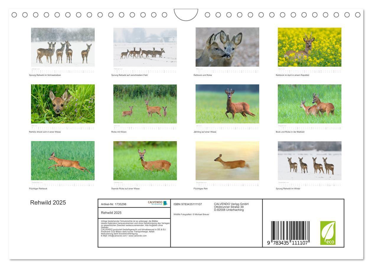 Bild: 9783435111107 | Rehwild 2025 (Wandkalender 2025 DIN A4 quer), CALVENDO Monatskalender