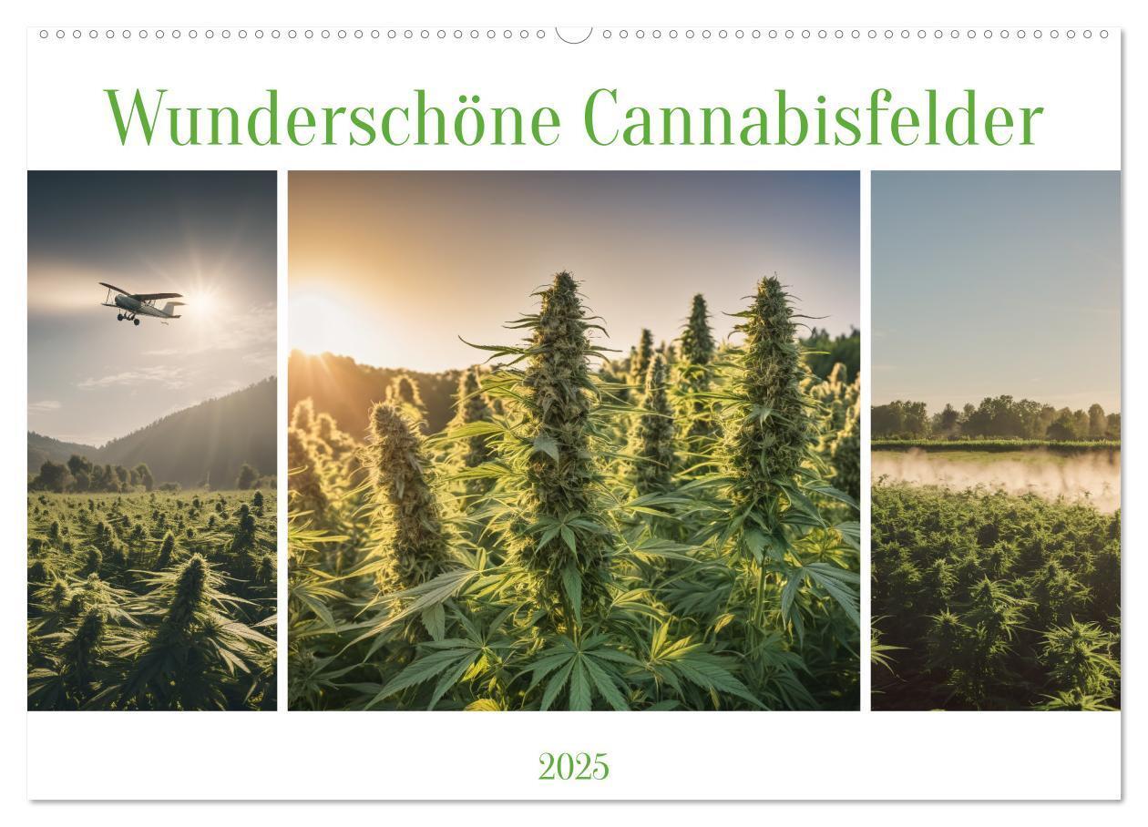 Cover: 9783383807190 | Wunderschöne Cannabisfelder (Wandkalender 2025 DIN A2 quer),...