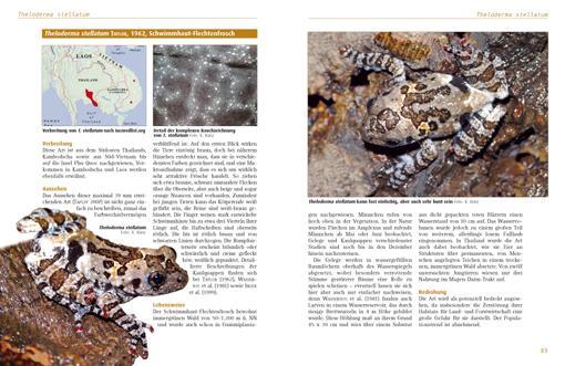 Bild: 9783866591554 | Moosfrösche | Die Gattung Theloderma | Kriton Kunz (u. a.) | Buch