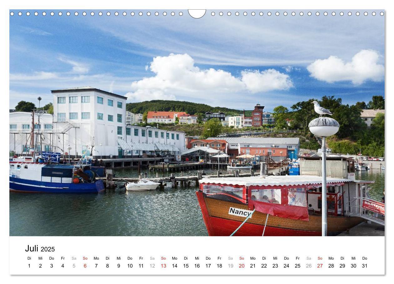 Bild: 9783435797929 | Rügen (Wandkalender 2025 DIN A3 quer), CALVENDO Monatskalender | 2025