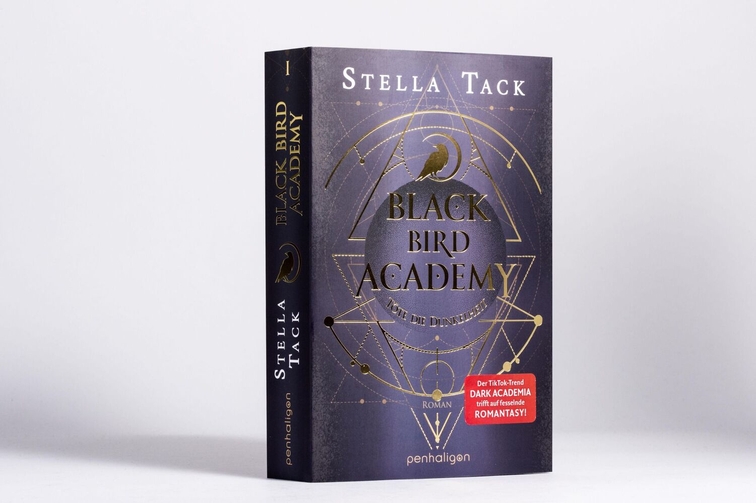 Bild: 9783764532826 | Black Bird Academy - Töte die Dunkelheit | Stella Tack | Taschenbuch