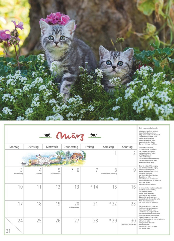 Bild: 4250809652412 | DUMONT - DUMONTS Katzenkalender 2025 Broschürenkalender, 42x29cm,...