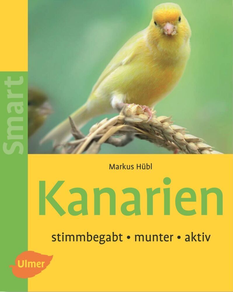 Cover: 9783800144877 | Kanarien | Stimmbegabt, munter, aktiv | Markus Hübl | Taschenbuch