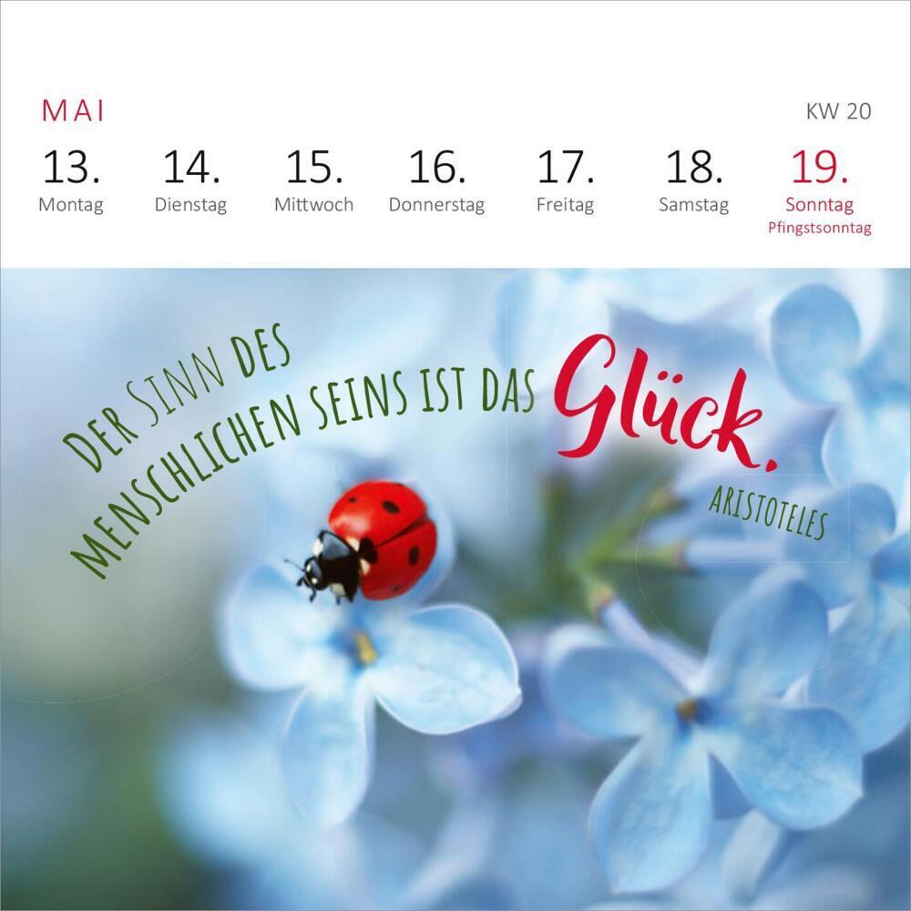 Bild: 4014489130352 | Mini-Wochenkalender Ein Jahr voll Glück 2024 | Kalender | 108 S.