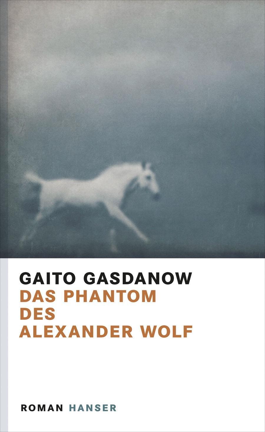 Cover: 9783446238534 | Das Phantom des Alexander Wolf | Gaito Gasdanow | Buch | Deutsch
