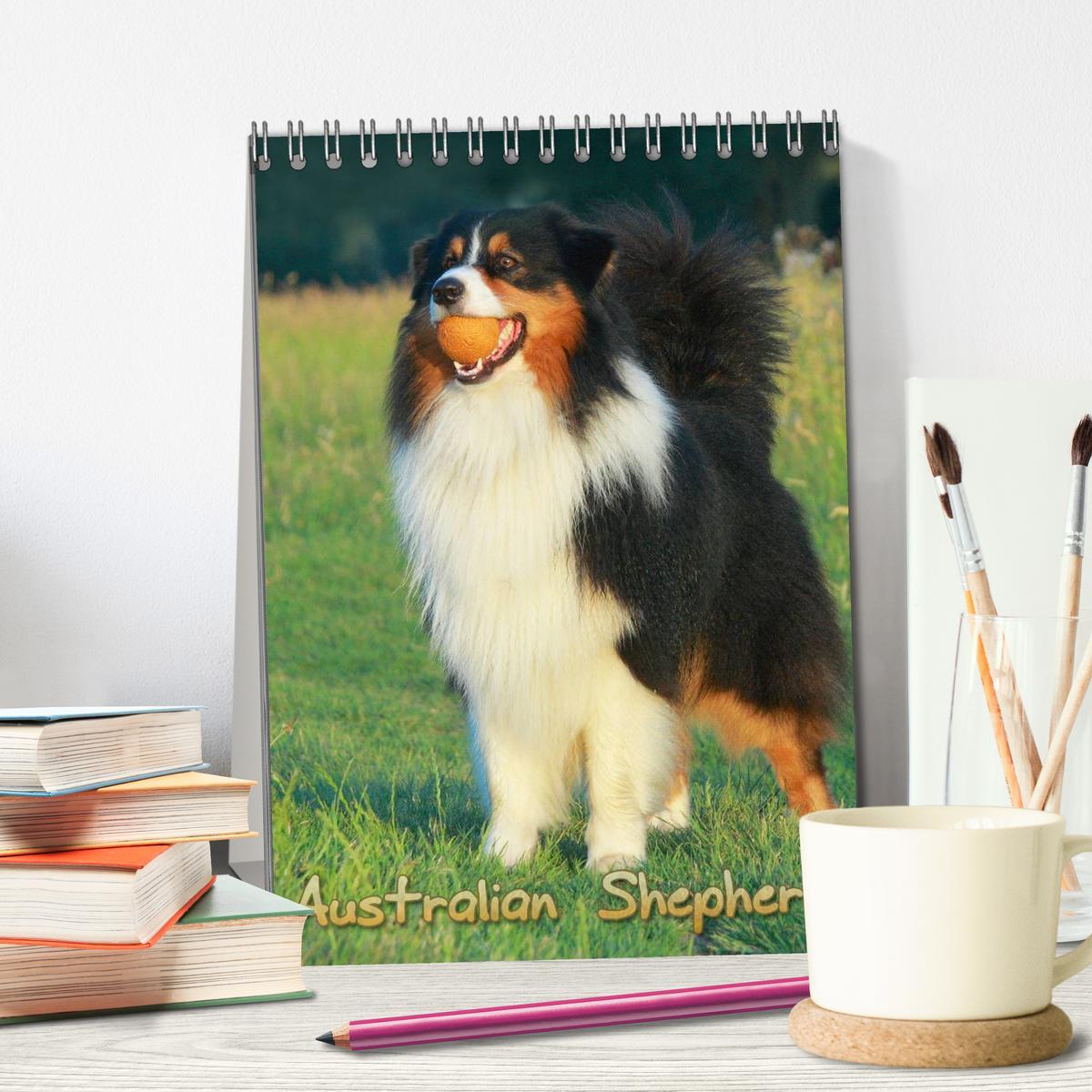 Bild: 9783457079331 | Australian Shepherd (Tischkalender 2025 DIN A5 hoch), CALVENDO...