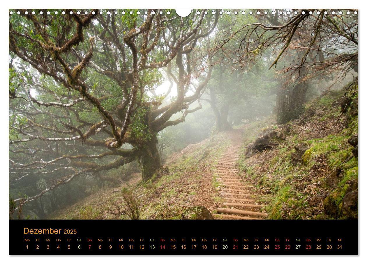 Bild: 9783435610679 | Madeira Impressionen (Wandkalender 2025 DIN A3 quer), CALVENDO...