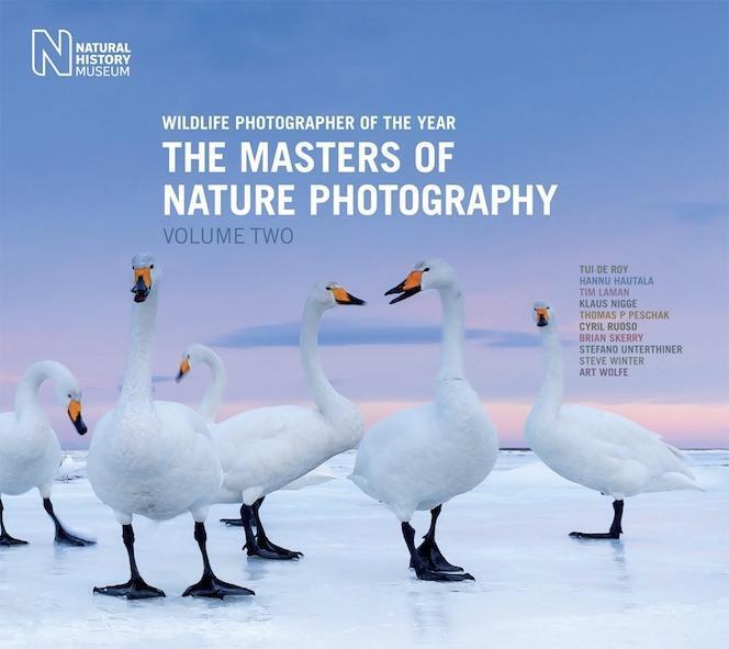 Cover: 9780565093938 | Wildlife Photographer of the Year: The Masters of Nature...