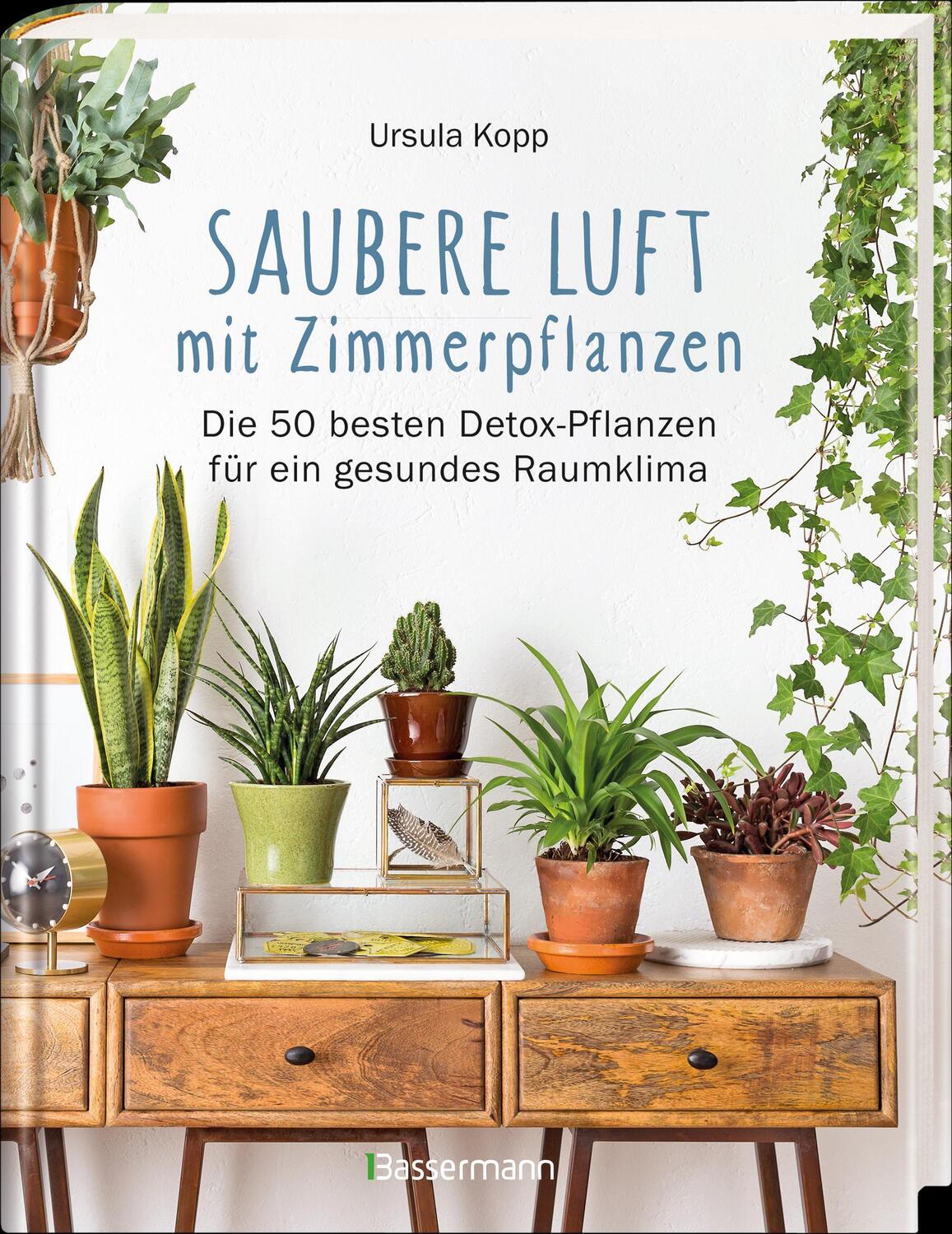 Bild: 9783809439615 | Saubere Luft mit Zimmerpflanzen | Ursula Kopp | Buch | 104 S. | 2018