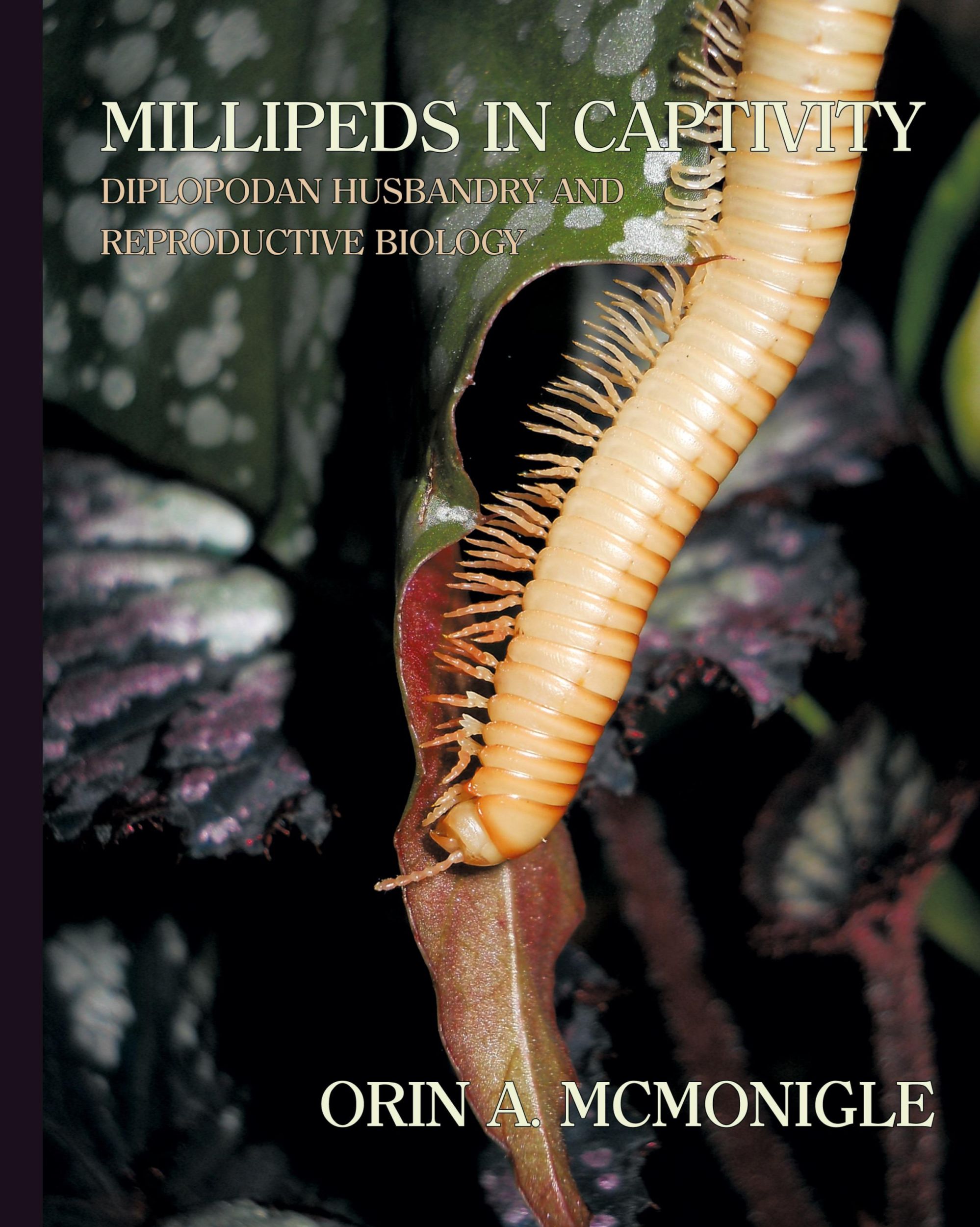 Cover: 9781616461430 | Millipeds in Captivity | Orin Mcmonigle | Buch | Englisch | 2012