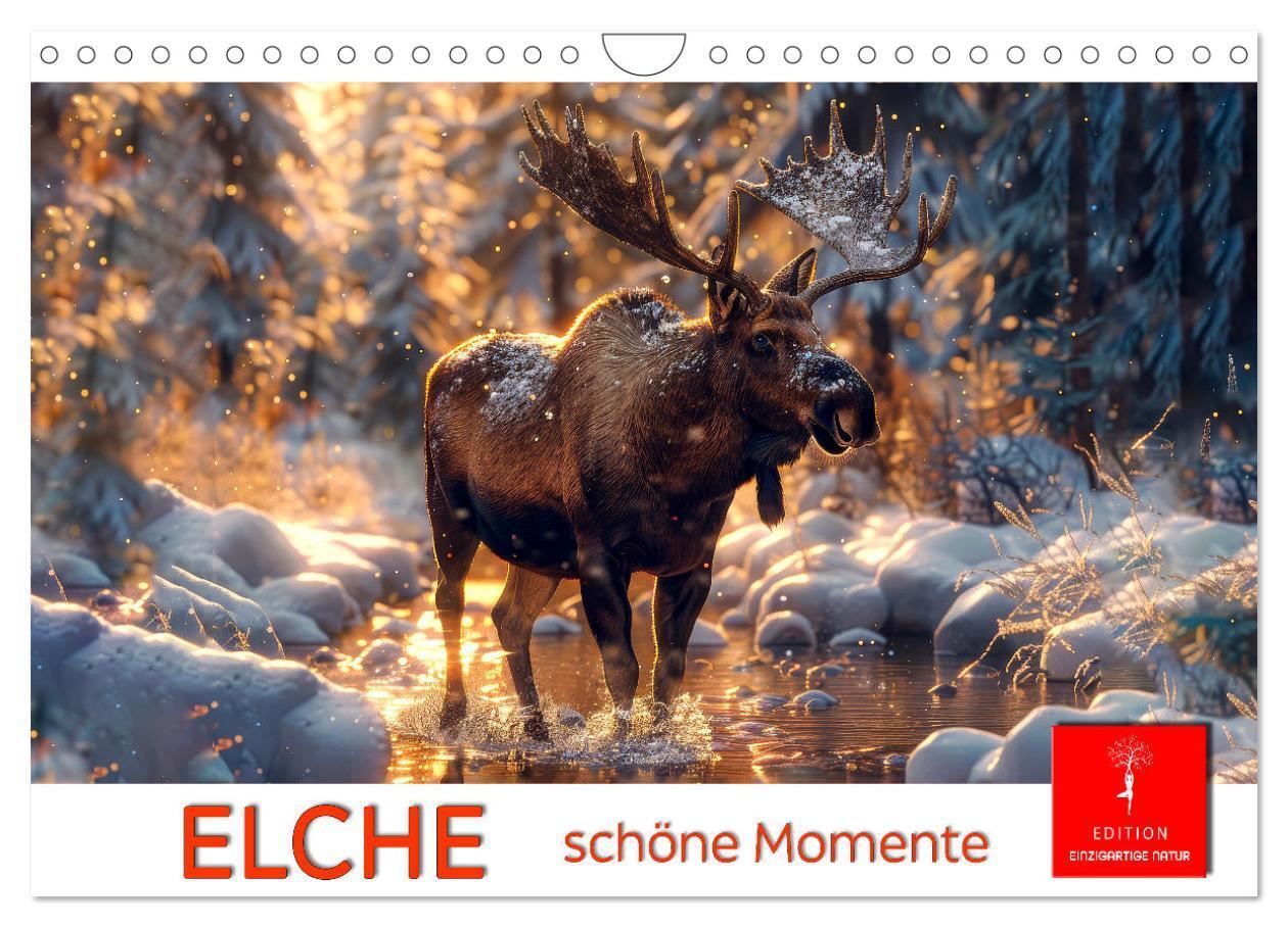 Cover: 9783383829468 | Elche - schöne Momente (Wandkalender 2025 DIN A4 quer), CALVENDO...