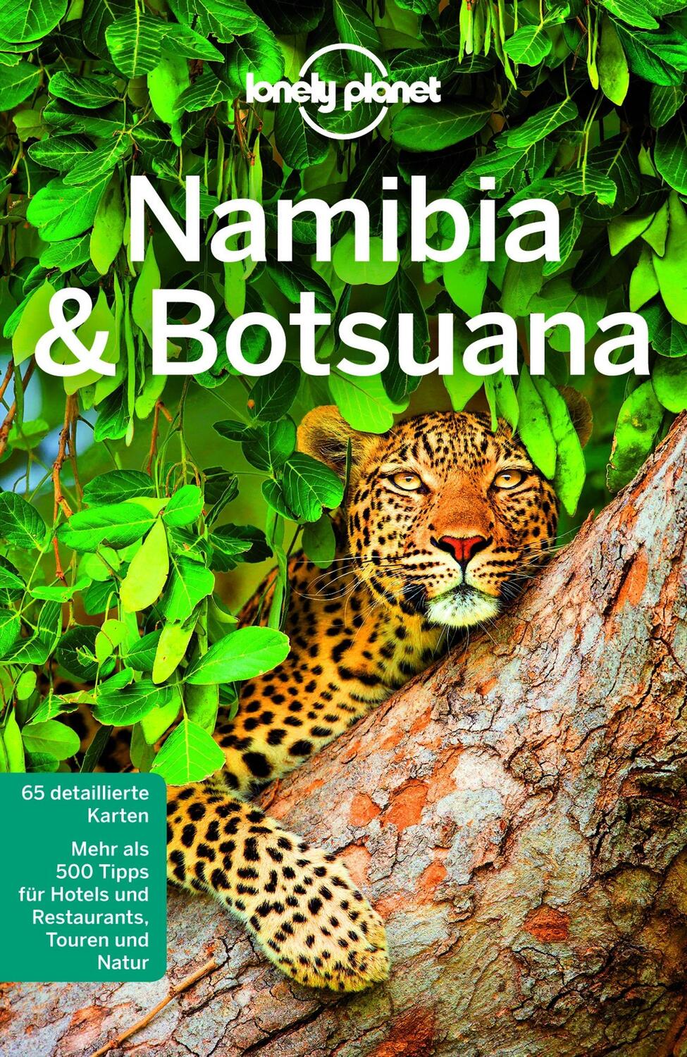 Cover: 9783829745710 | Lonely Planet Reiseführer Namibia, Botsuana | Alan Murphy | Buch