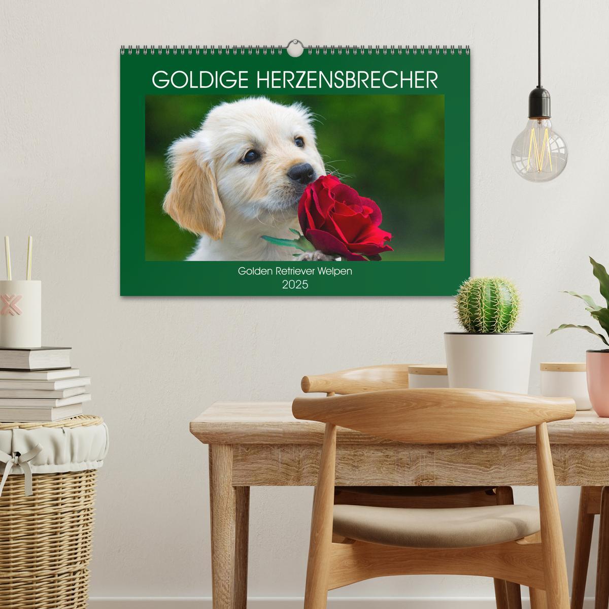 Bild: 9783435213801 | Goldige Herzensbrecher - Golden Retriever Welpen (Wandkalender 2025...