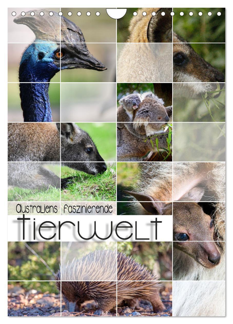 Cover: 9783675670730 | Australiens faszinierende Tierwelt (Wandkalender 2024 DIN A4 hoch),...