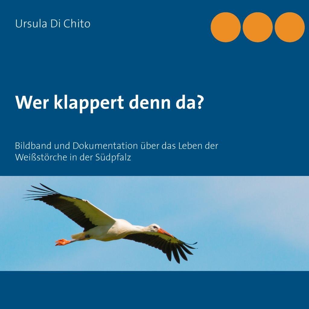 Cover: 9783738606133 | Wer klappert denn da? | Ursula Di Chito | Taschenbuch | Paperback