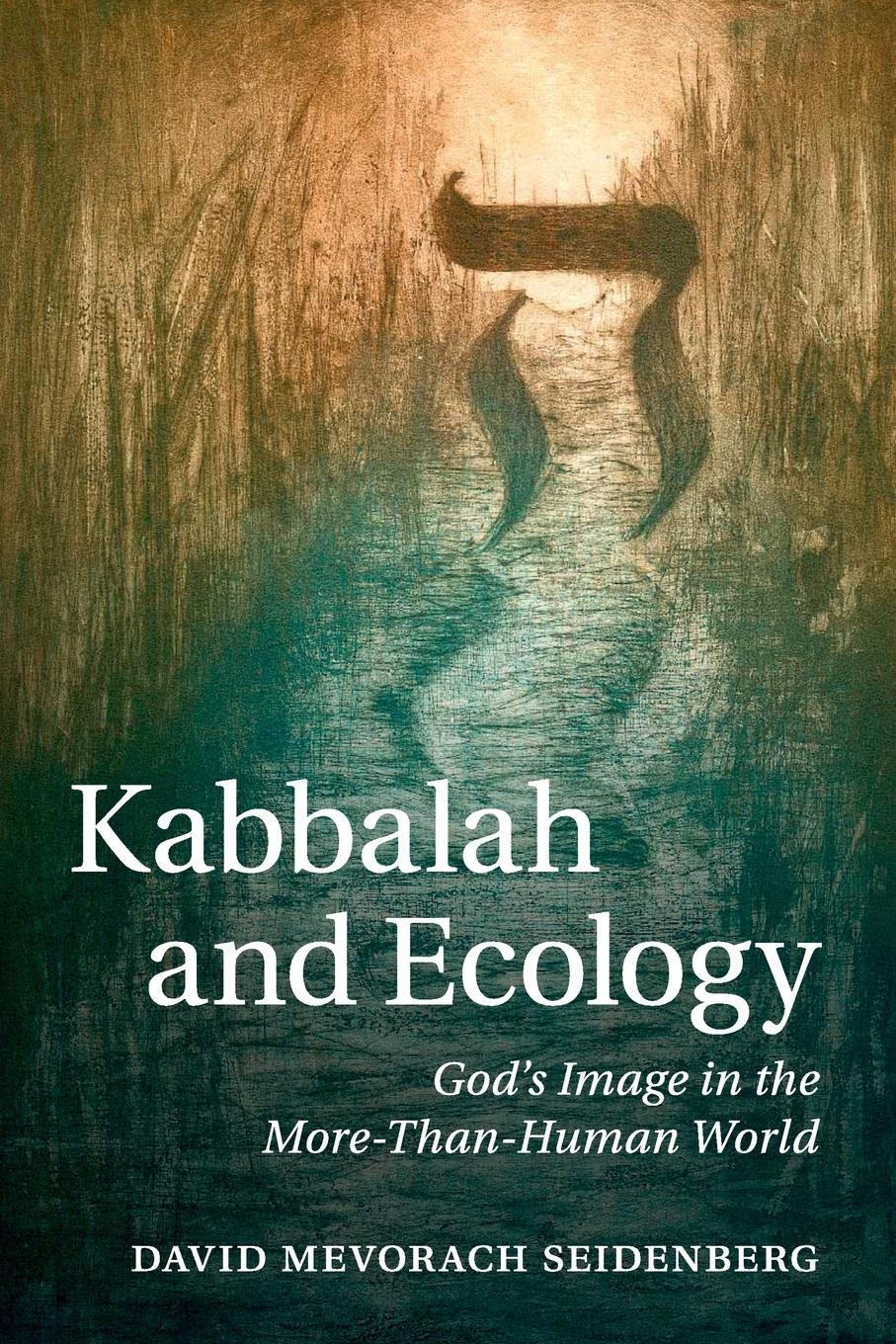 Cover: 9781107441446 | Kabbalah and Ecology | David Mevorach Seidenberg | Taschenbuch | 2016