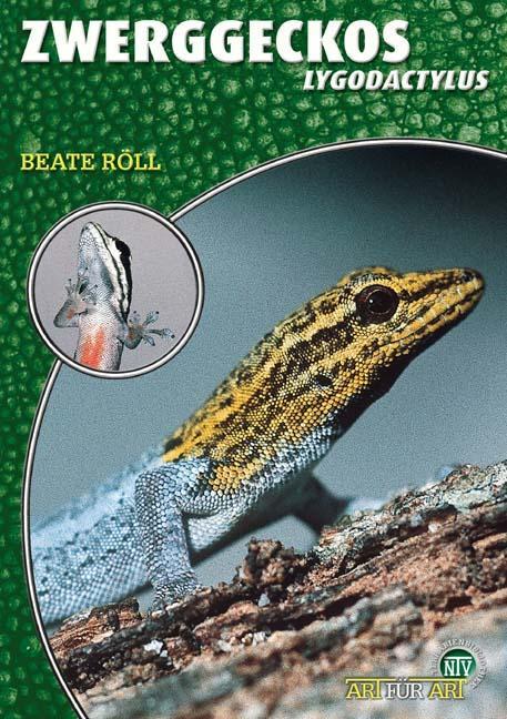 Cover: 9783937285160 | Zwerggeckos | Lygodactylus | Beate Röll | Taschenbuch | 64 S. | 2012