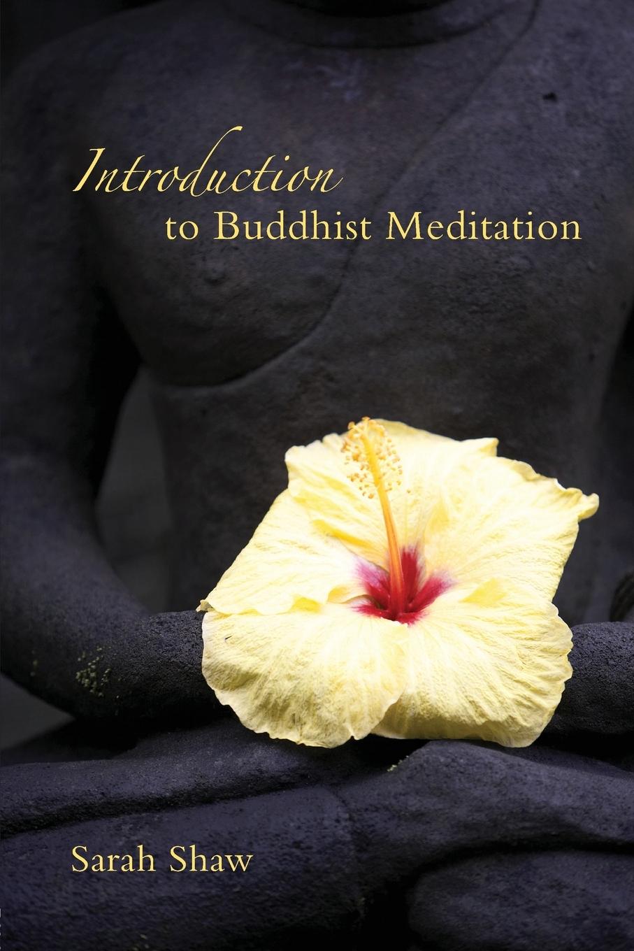 Cover: 9780415409001 | Introduction to Buddhist Meditation | Sarah Shaw | Taschenbuch | 2008