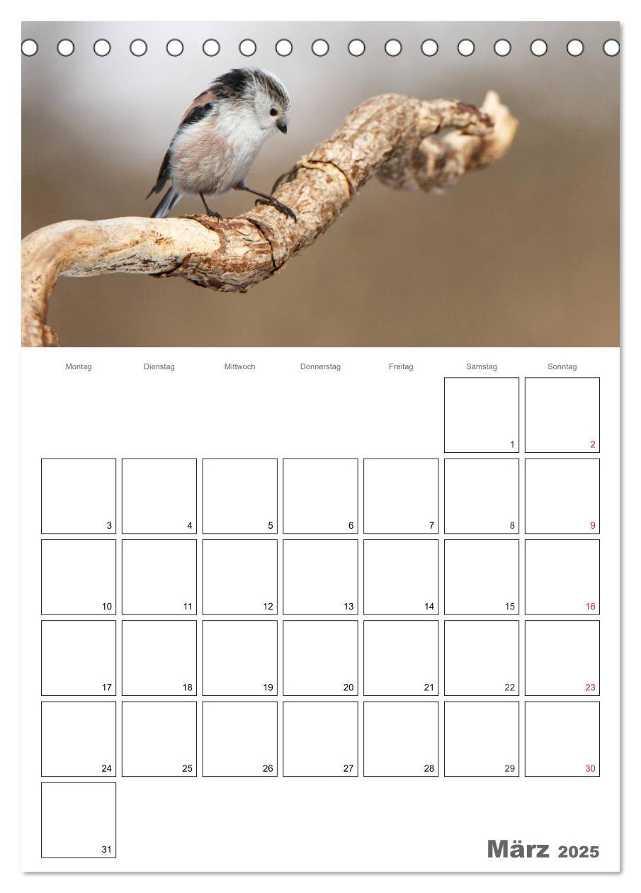 Bild: 9783457007730 | Vögel im heimischen Garten (Tischkalender 2025 DIN A5 hoch),...